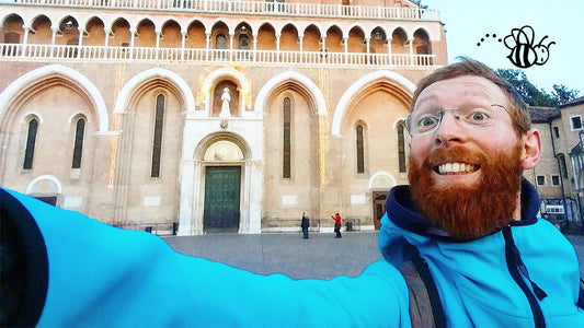 Holy-Win: perché i Santi vincono (sempre)