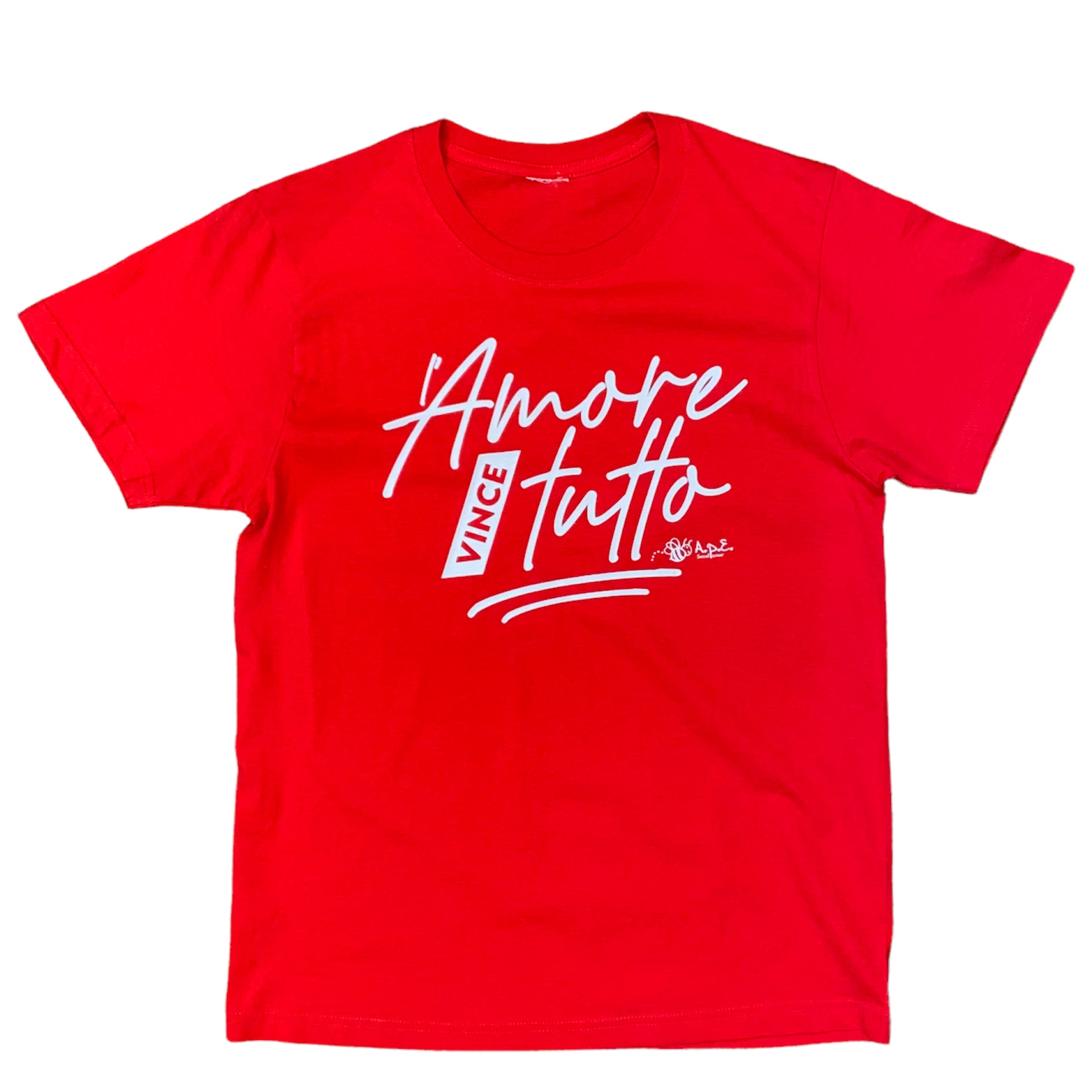 Quadro Personalizzato Amore Mongolfiera – Lol T-shirt