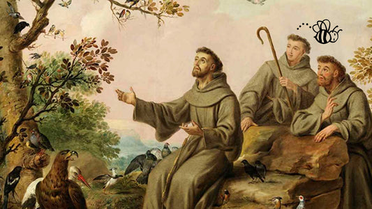 Le 6 curiosità su San Francesco d’Assisi.